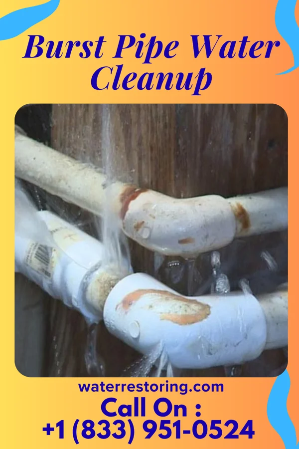 Burst Pipe Water Cleanup in Crugers, NY