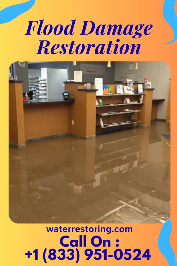 Flood Damage Restoration in Crugers, NY