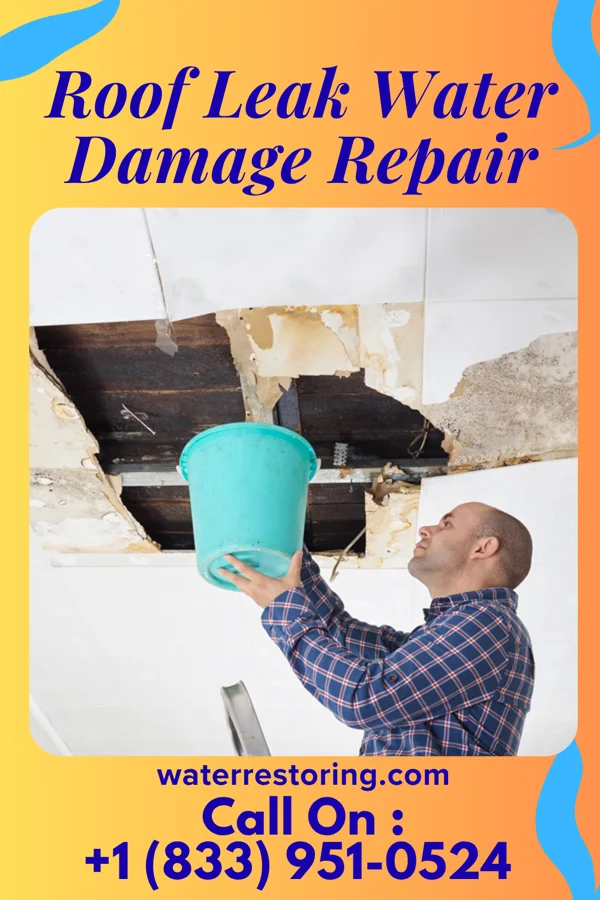 Roof Leak Water Damage Repair in Crugers, NY