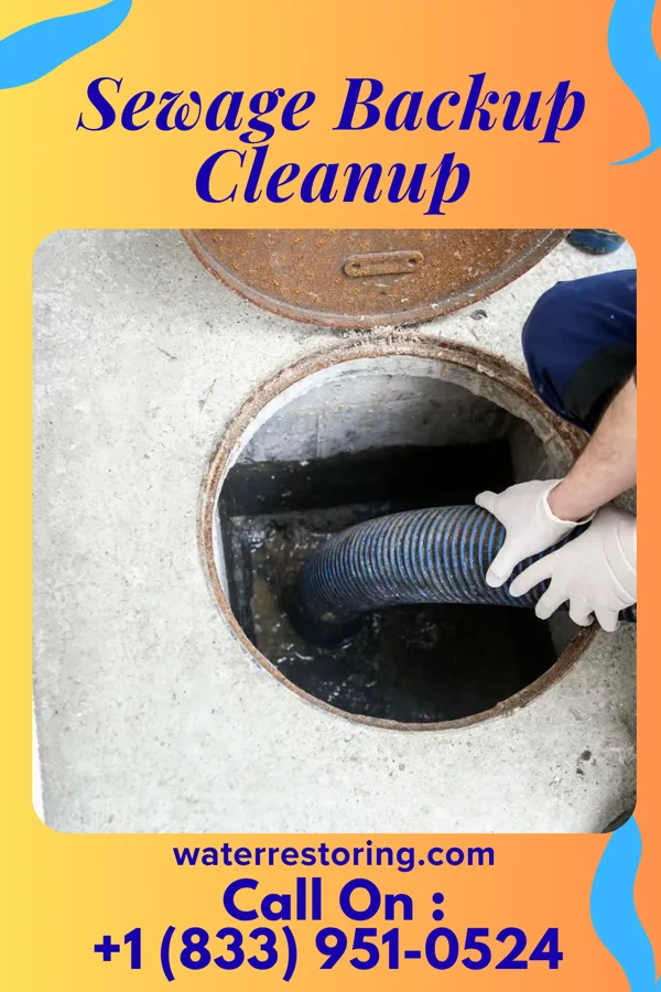 Sewage Backup Cleanup in Crugers, NY