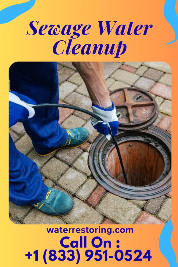 Sewage Water Cleanup in Crugers, NY