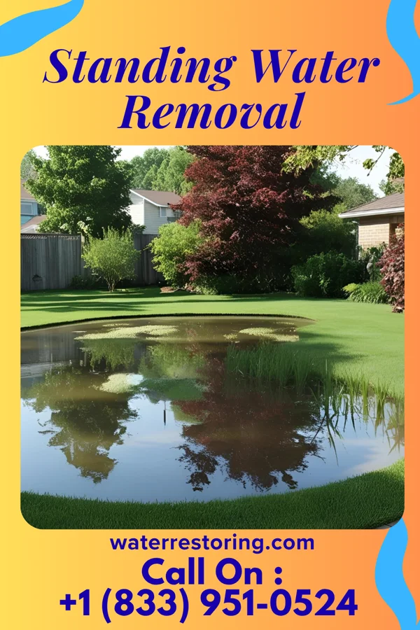 Standing Water Removal in Crugers, NY